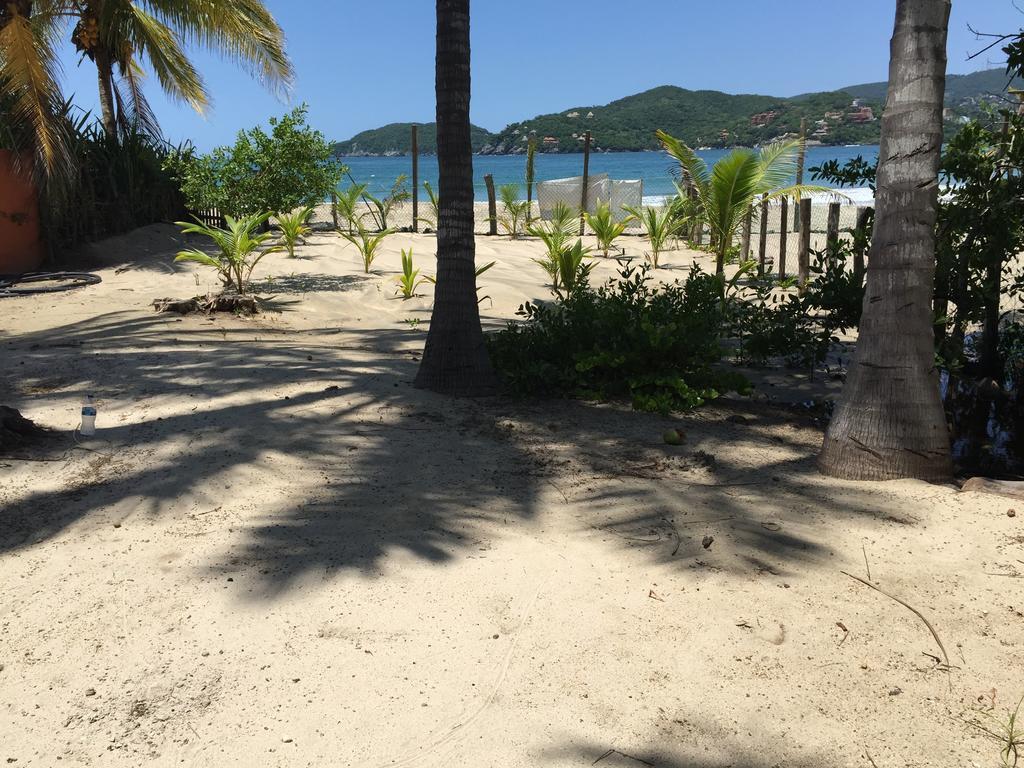 Villa Beach Front,153472636:JPEG