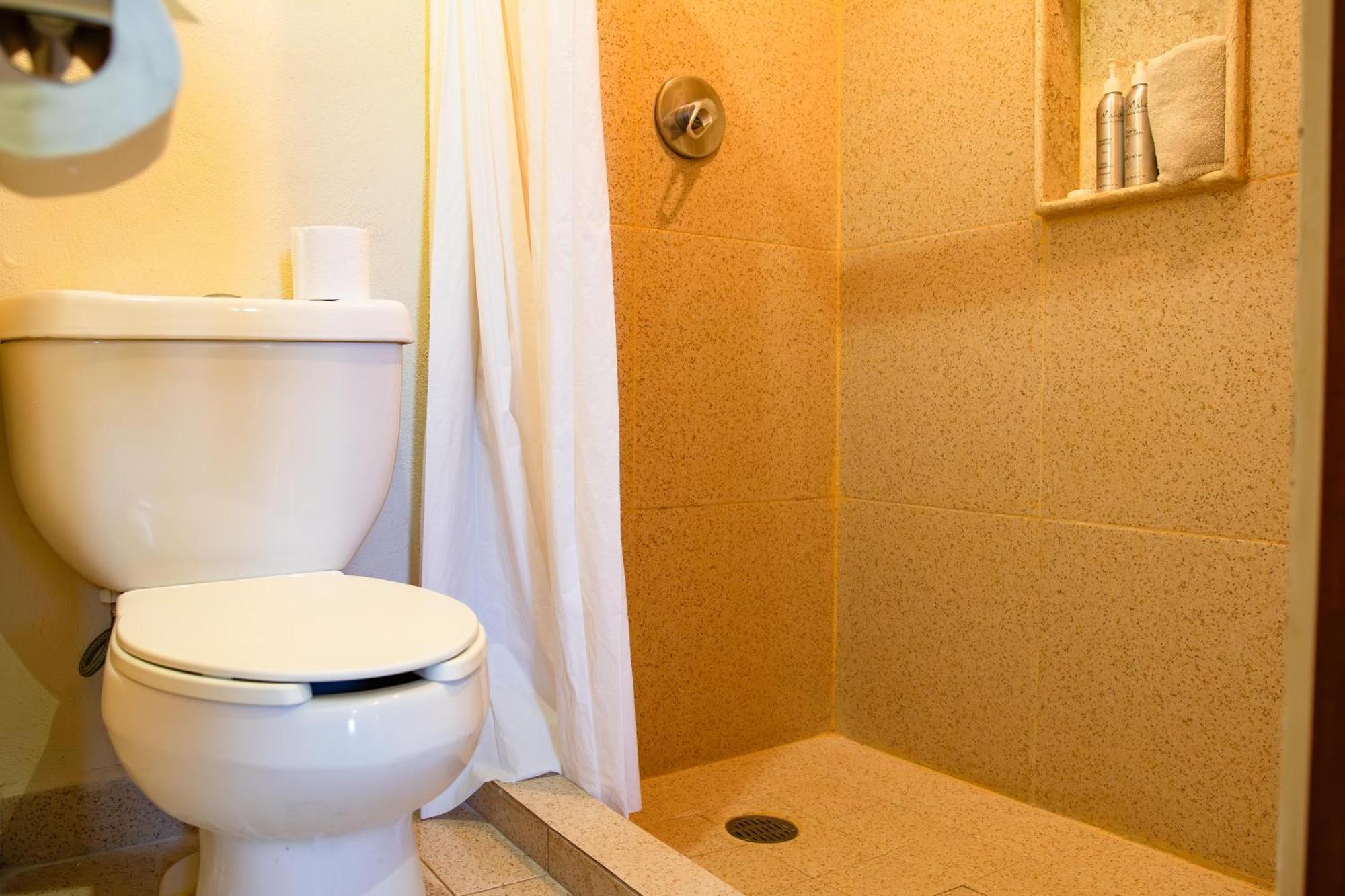 Budget Double Room,1743239875:JPEG