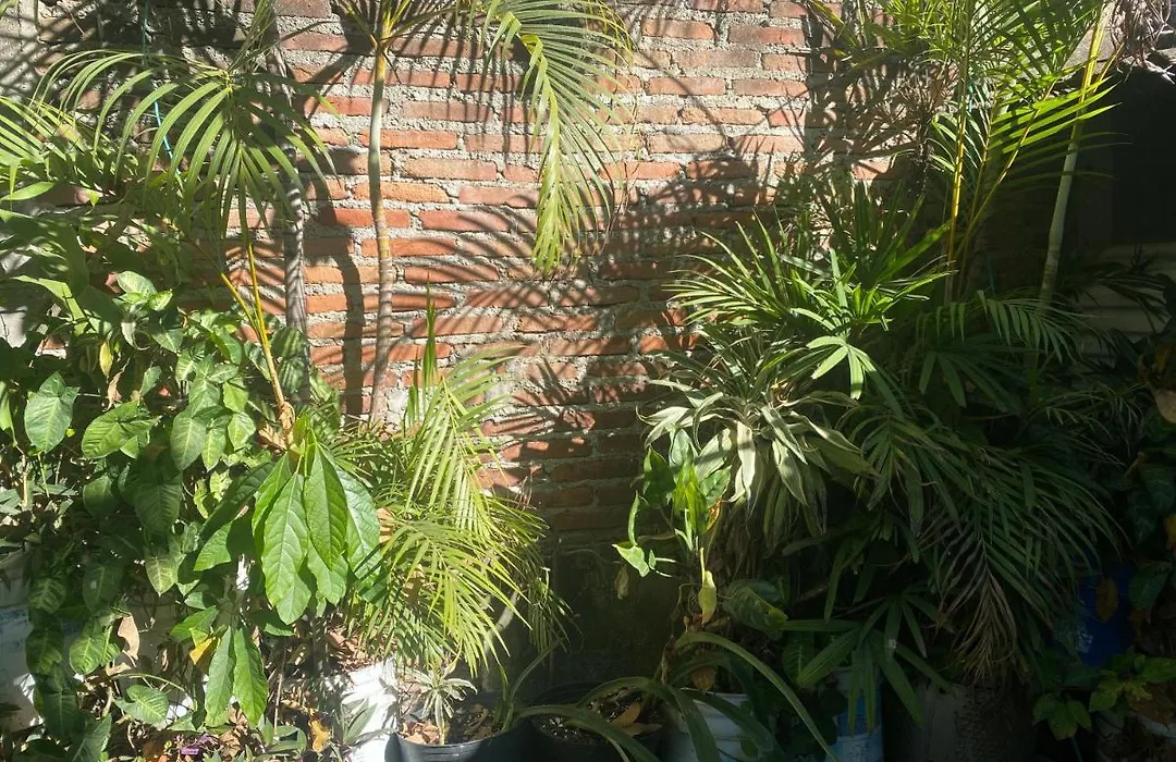 Departamento Taxco-1