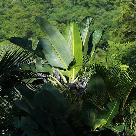 Villa Bahia At Staypv-3