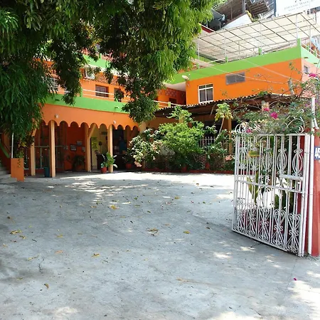 Hotel La Jungla-3