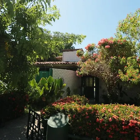 Casa Olinala-2