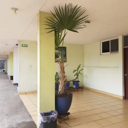 Hotel Avenida-3