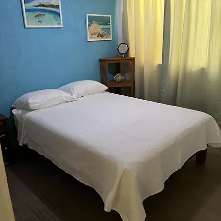 Raya Apartment-3
