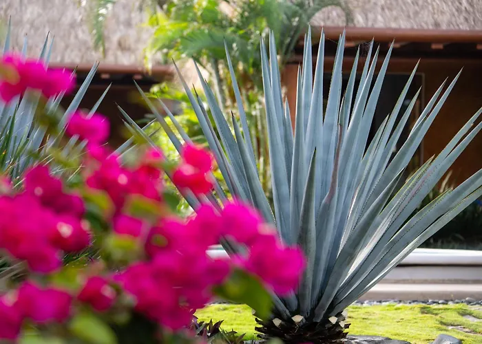 Troncones Lodging 
