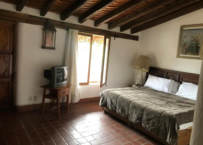 Huisdiervriendelijke hotels in Guerrero