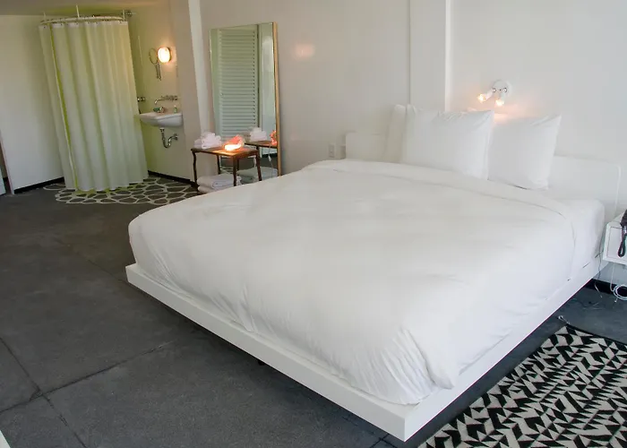 Acapulco Dog Friendly Lodging and Hotels